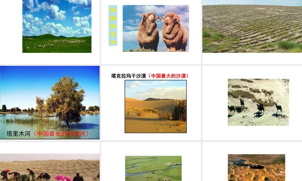 八年级地理下册 8.1 西北地区——自然特征与农业课件 （新版）新人教版-（新版）新人教版初中八年级下册地理课件