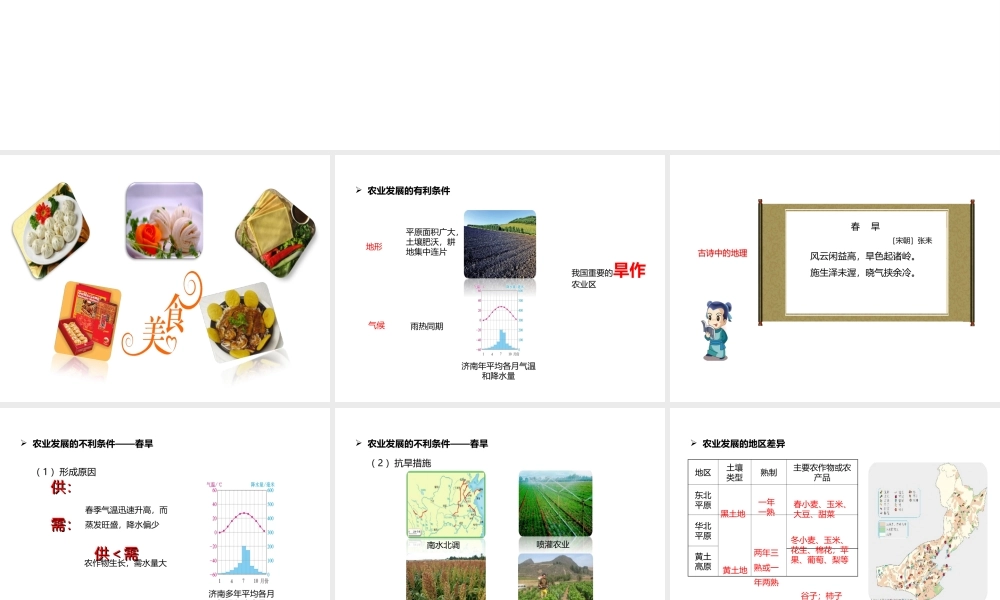 八年级地理下册 6.1 自然特征与农业 北方地区的农业生产课件 （新版）新人教版-（新版）新人教版初中八年级下册地理课件