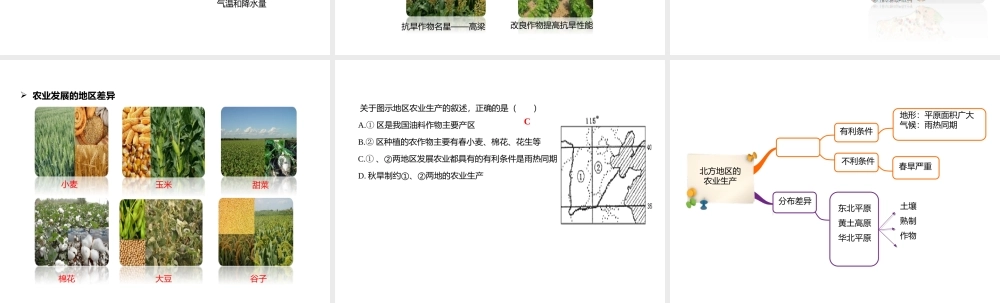 八年级地理下册 6.1 自然特征与农业 北方地区的农业生产课件 （新版）新人教版-（新版）新人教版初中八年级下册地理课件