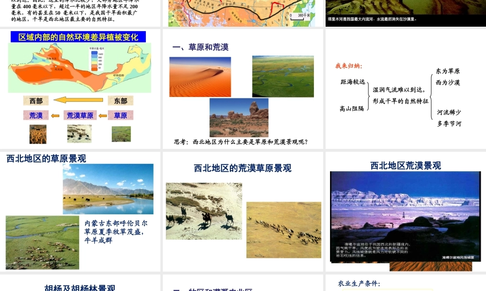 八年级地理下册 8.1 西北地区自然特征与农业课件 （新版）新人教版