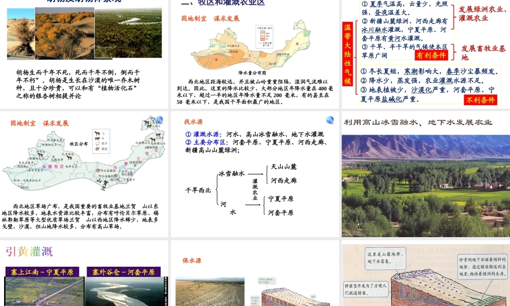 八年级地理下册 8.1 西北地区自然特征与农业课件 （新版）新人教版