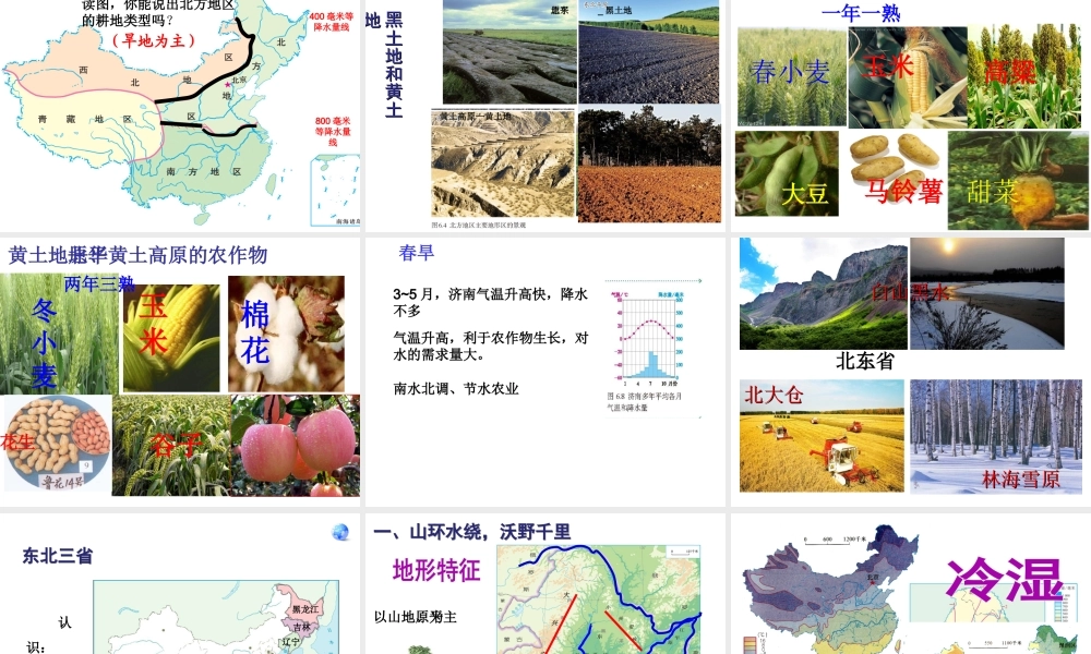 八年级地理下册 第5-6章 复习课件 （新版）新人教版-（新版）新人教版初中八年级下册地理课件