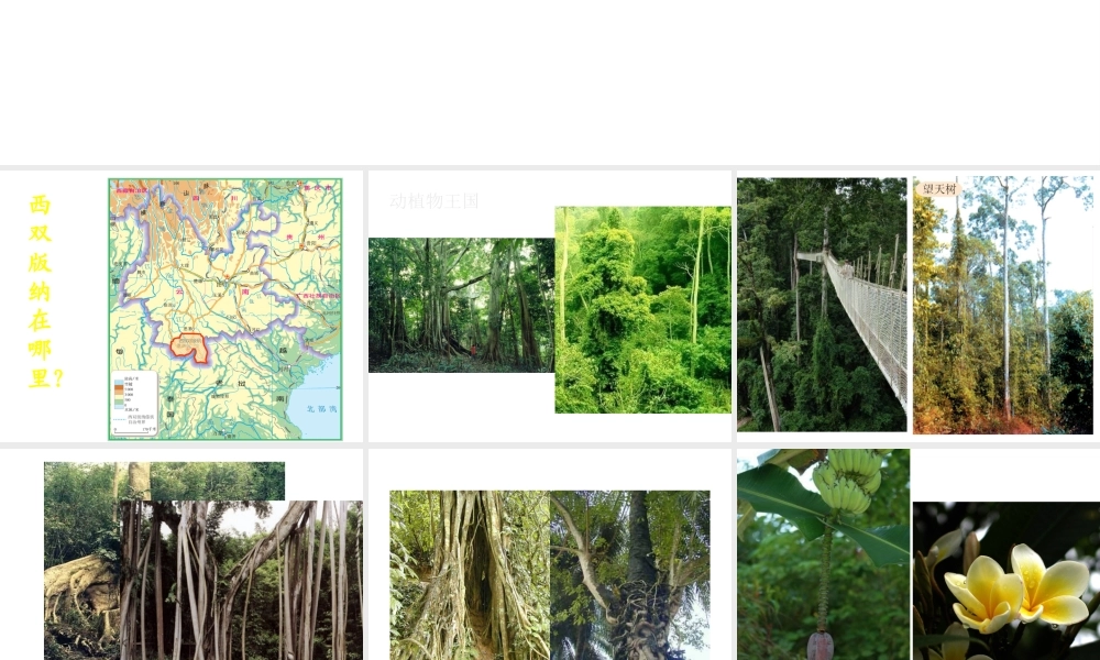 八年级地理下册 8.1 西双版纳——晶莹透亮的“绿宝石”课件 晋教版-人教版初中八年级下册地理课件