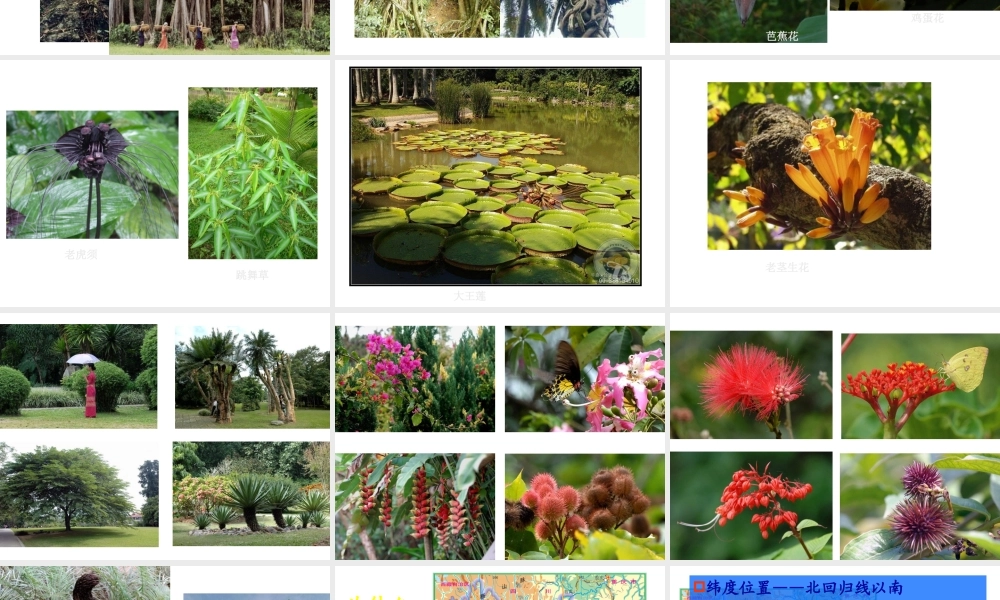 八年级地理下册 8.1 西双版纳——晶莹透亮的“绿宝石”课件 晋教版-人教版初中八年级下册地理课件