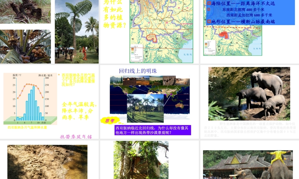 八年级地理下册 8.1 西双版纳——晶莹透亮的“绿宝石”课件 晋教版-人教版初中八年级下册地理课件