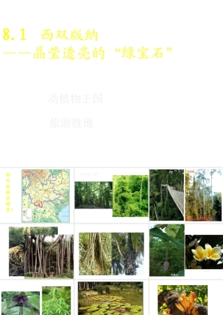 八年级地理下册 8.1 西双版纳——晶莹透亮的“绿宝石”课件 晋教版-人教版初中八年级下册地理课件