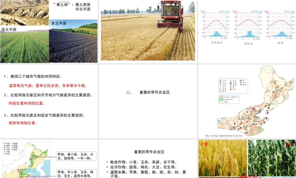 八年级地理下册 6.1 自然特征与农业课件3 （新版）新人教版-（新版）新人教版初中八年级下册地理课件