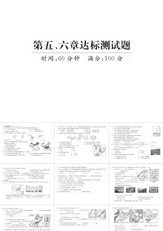 八年级地理下册 第5-6章达标测试题课件 （新版）新人教版-（新版）新人教版初中八年级下册地理课件