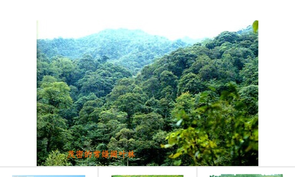 八年级地理下册 7.1 自然特征与农业课件1 （新版）新人教版-（新版）新人教版初中八年级下册地理课件