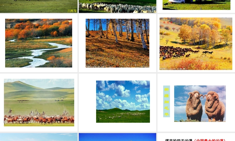 八年级地理下册 第八章 第一节 西北地区——自然特征与农业课件 （新版）新人教版-（新版）新人教版初中八年级下册地理课件