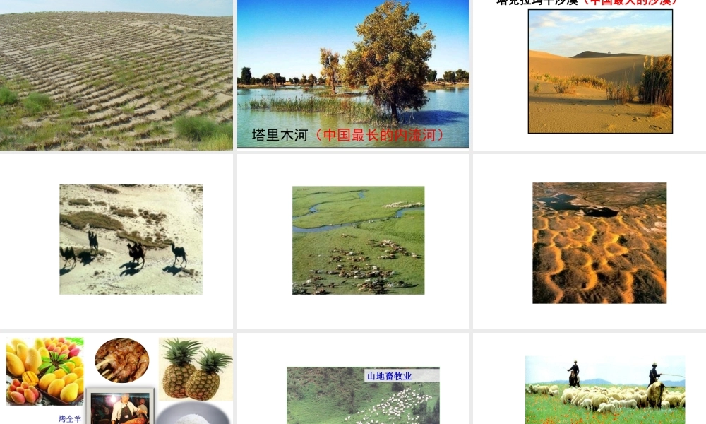 八年级地理下册 第八章 第一节 西北地区——自然特征与农业课件 （新版）新人教版-（新版）新人教版初中八年级下册地理课件