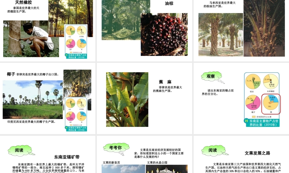 八年级地理下册 6.1《东南亚》课件2 中图版-中图版初中八年级下册地理课件