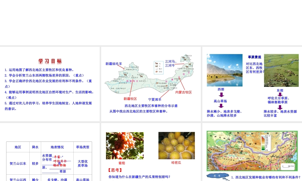 八年级地理下册 8.1自然特征与农业（牧区和灌溉农业区）课件 （新版）新人教版-（新版）新人教版初中八年级下册地理课件