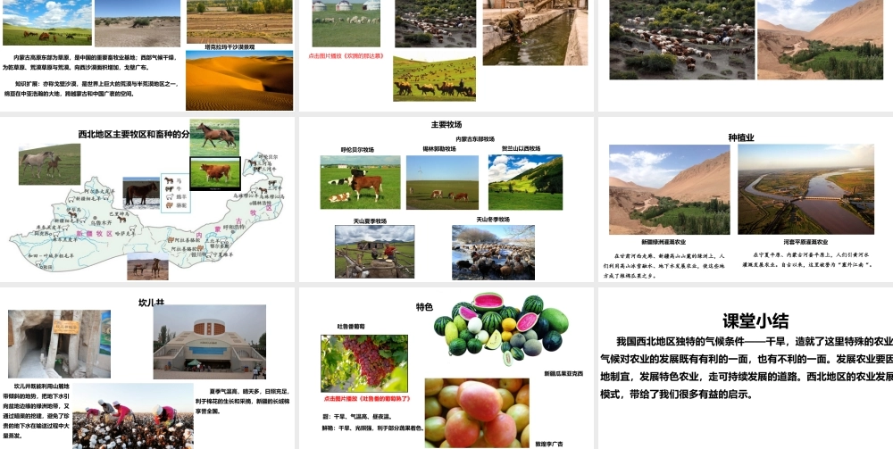 八年级地理下册 第八章 第一节 自然特征与农业 西北的自然特征与农业课件 （新版）新人教版-（新版）新人教版初中八年级下册地理课件
