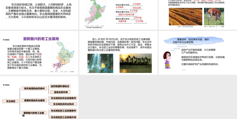 八年级地理下册 7.1《东北地区》课件 （新版）粤教版-（新版）粤教版初中八年级下册地理课件