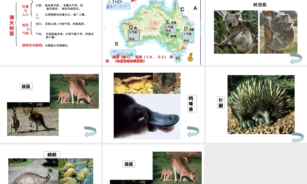 八年级地理下册 第七章 第三节 澳大利亚课件 中图版-中图版初中八年级下册地理课件