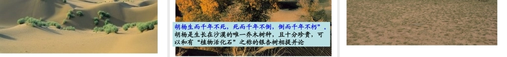 八年级地理下册 8.1自然特征与农业课件3 （新版）新人教版-（新版）新人教版初中八年级下册地理课件