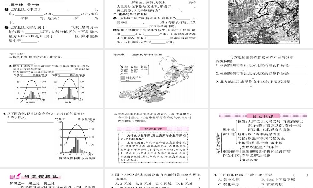 八年级地理下册 第6章 第1节 自然特征与农业习题课件 （新版）新人教版-（新版）新人教版初中八年级下册地理课件