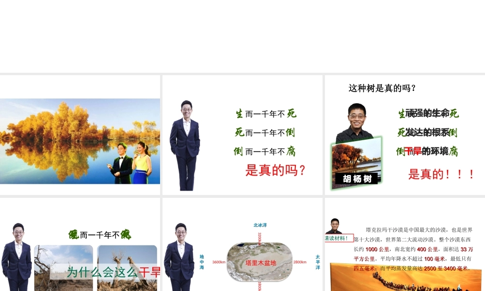 八年级地理下册 8.2 干旱的宝地─塔里木盆地课件 （新版）新人教版