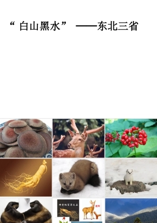 八年级地理下册 第6章 第2节 白山黑水——东北三省课件 （新版）新人教版-（新版）新人教版初中八年级下册地理课件