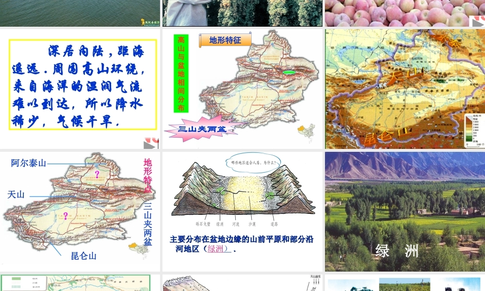 八年级地理西部开发的重要阵地——新疆维吾尔自治区人教新课标