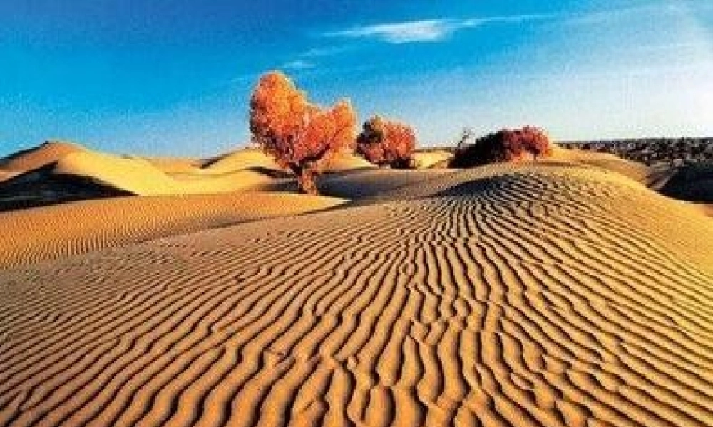 八年级地理西部开发重要阵地---新疆维吾尔自治区人教新课标