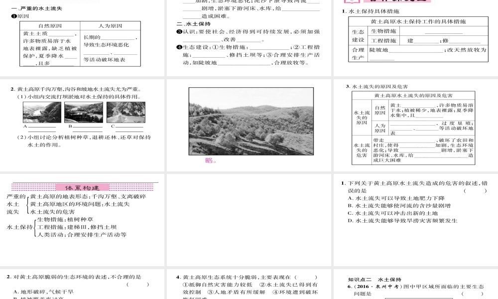 八年级地理下册 第6章 第3节 世界最大的黄土堆积区（第二课时）习题课件 （新版）新人教版-（新版）新人教版初中八年级下册地理课件
