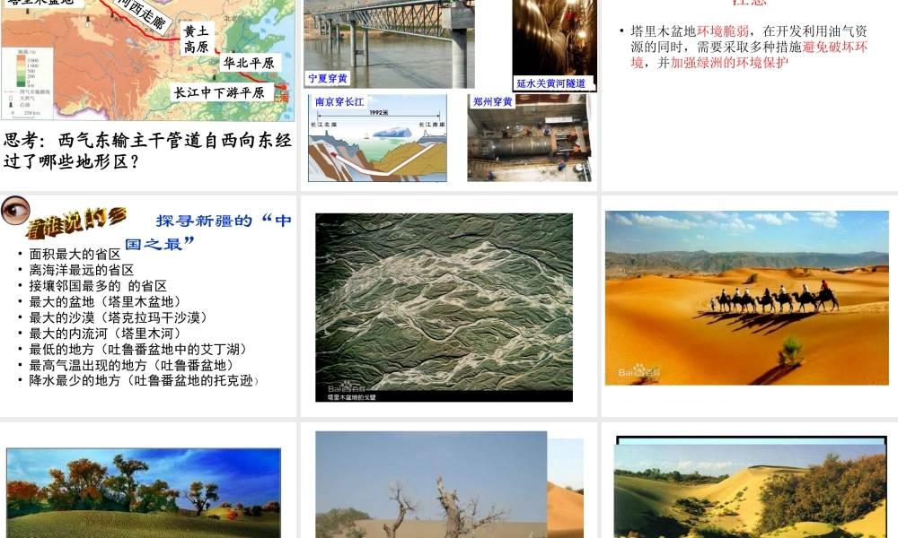 八年级地理下册 第八章 第二节 干旱的宝地—塔里木盆地课件 新人教版