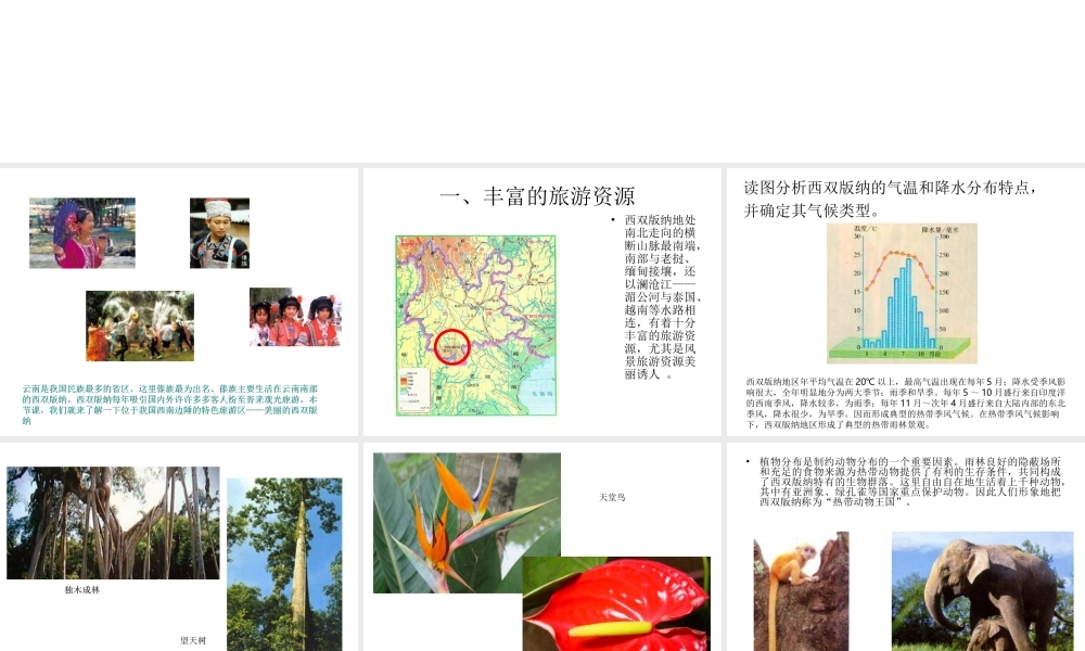 八年级地理下册 7.2 西南边陲的特色旅游区 西双版纳课件 新人教版-新人教版初中八年级下册地理课件