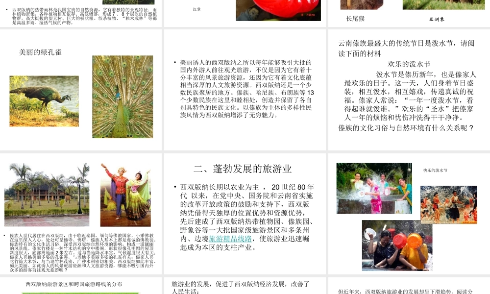 八年级地理下册 7.2 西南边陲的特色旅游区 西双版纳课件 新人教版-新人教版初中八年级下册地理课件