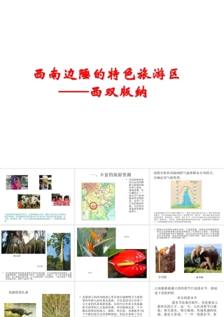 八年级地理下册 7.2 西南边陲的特色旅游区 西双版纳课件 新人教版-新人教版初中八年级下册地理课件