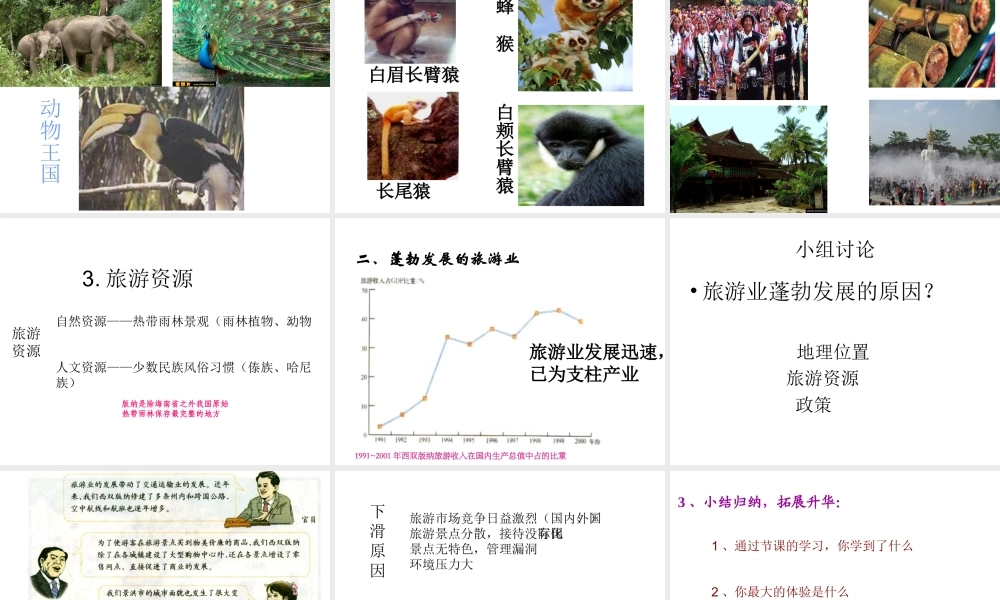 八年级地理下册 7.2 西南边陲的特色旅游区—西双版纳课件 新人教版-新人教版初中八年级下册地理课件