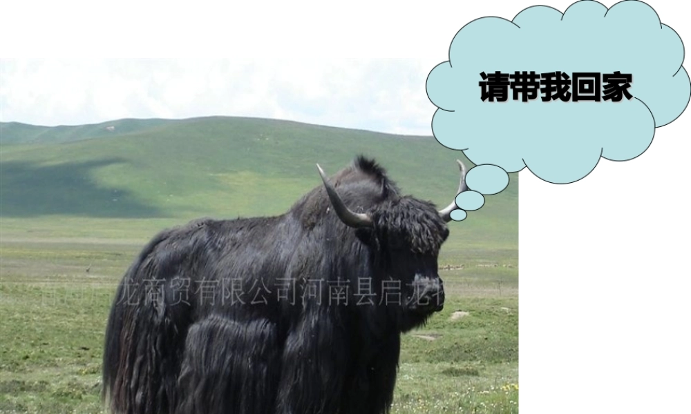 八年级地理下册 第六章 第四节 青藏地区课件 粤教版-粤教版初中八年级下册地理课件