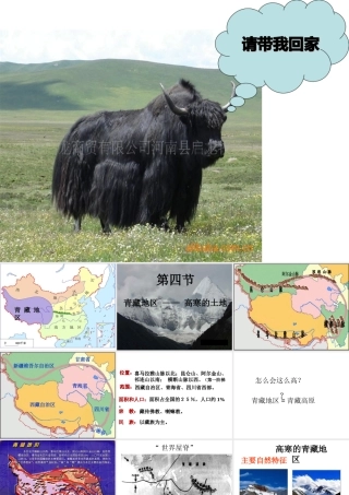 八年级地理下册 第六章 第四节 青藏地区课件 粤教版-粤教版初中八年级下册地理课件