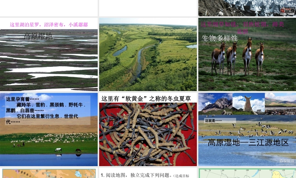 八年级地理下册 第九章 第二节 高原湿地-江河的源地课件 （新版）新人教版-（新版）新人教版初中八年级下册地理课件