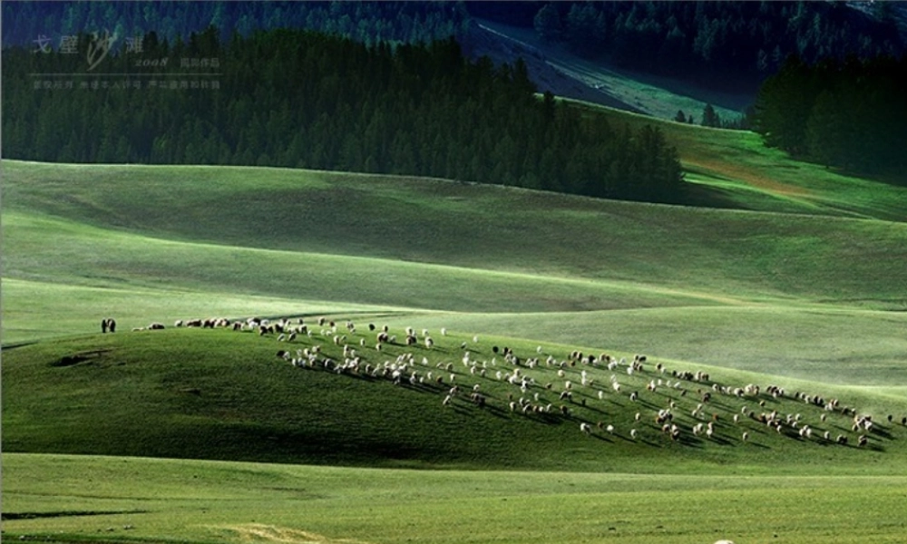 八年级地理下册 7.2 新疆--祖国面积最大的省级行政区域课件 晋教版-人教版初中八年级下册地理课件