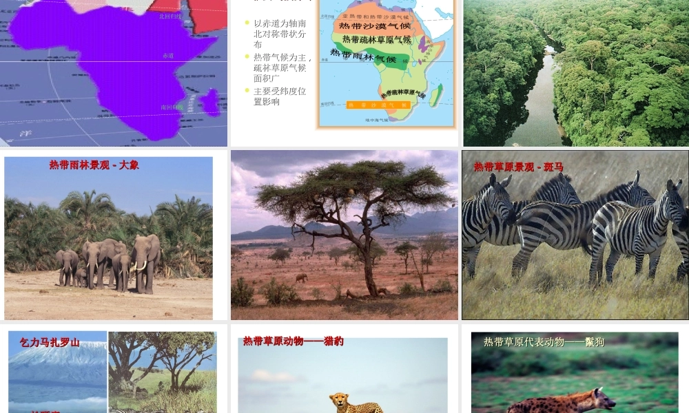 八年级地理下册 第六章 第四节 撒哈拉以南的非洲课件 中图版