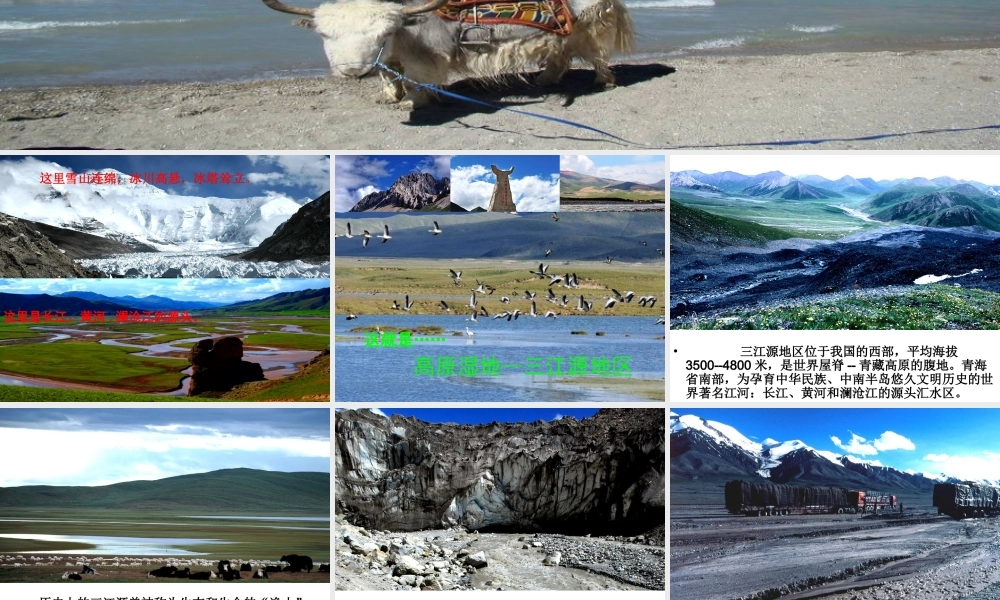 八年级地理下册 第九章 第二节 高原湿地——三江源地区课件（2）（新版）新人教版-（新版）新人教版初中八年级下册地理课件