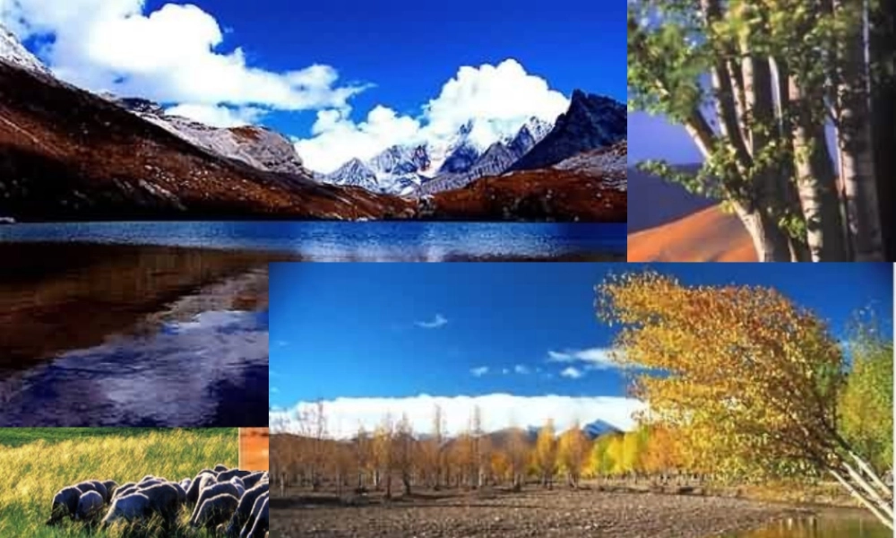 八年级地理下册 第六章 第四节 西部地区课件 粤教版-粤教版初中八年级下册地理课件