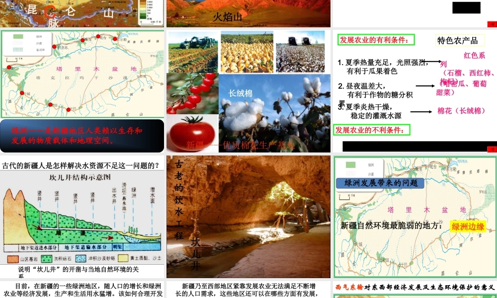 八年级地理下册 第六章 第四节 西部开发的重要阵地-新疆课件 新人教版
