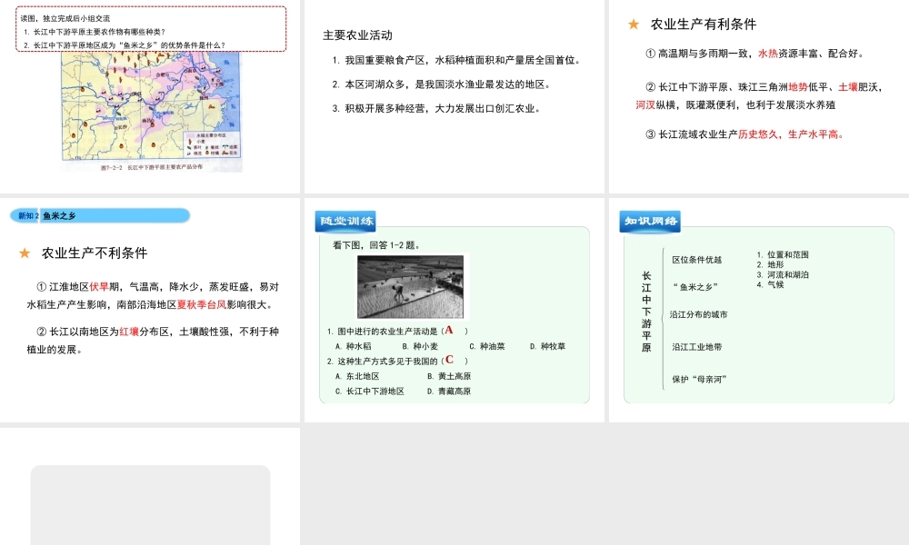 八年级地理下册 7.2 长江中下游平原（第1课时）教学课件 （新版）商务星球版-（新版）商务星球版初中八年级下册地理课件