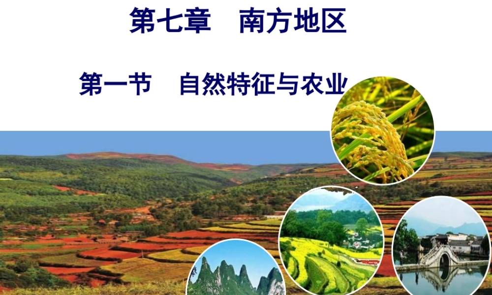 八年级地理下册 第7章 第1节 自然特征与农业课件 （新版）新人教版-（新版）新人教版初中八年级下册地理课件