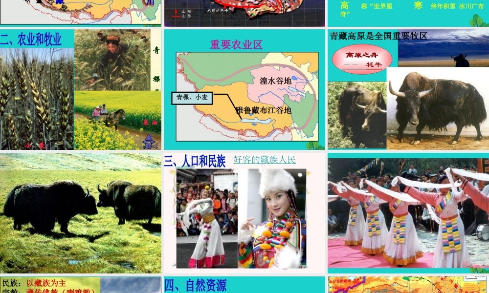 八年级地理下册 第九章 第一节 青藏地区自然特征与农业课件 （新版）新人教版-（新版）新人教版初中八年级下册地理课件