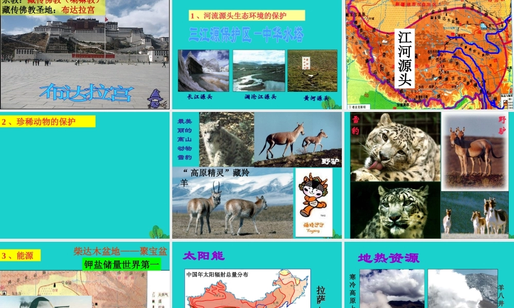 八年级地理下册 第九章 第一节 青藏地区自然特征与农业课件 （新版）新人教版-（新版）新人教版初中八年级下册地理课件