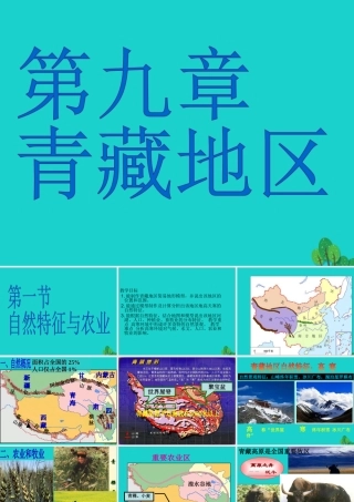 八年级地理下册 第九章 第一节 青藏地区自然特征与农业课件 （新版）新人教版-（新版）新人教版初中八年级下册地理课件