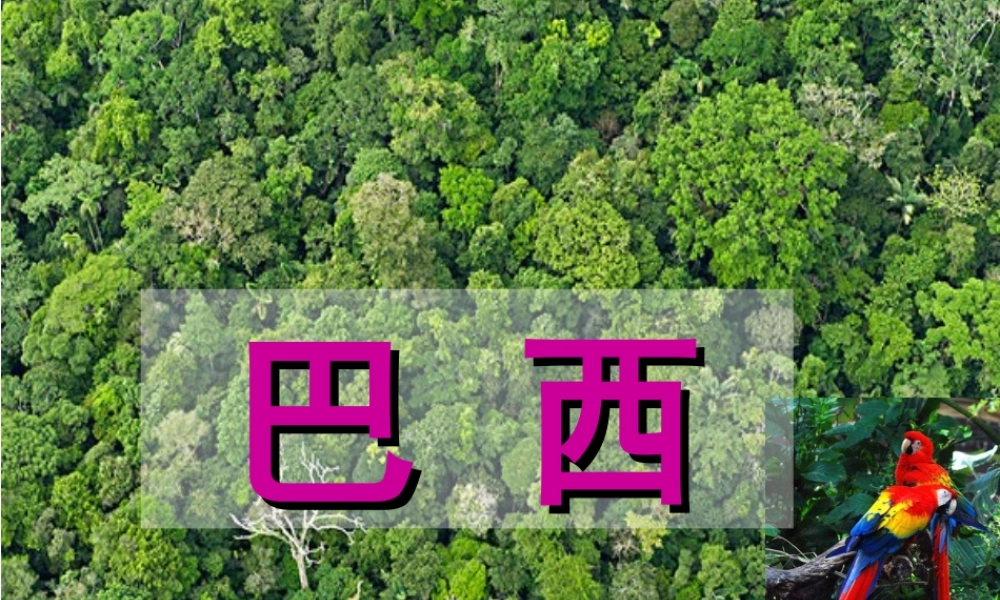 八年级地理下册 第七章 第四节 巴西课件 中图版-中图版初中八年级全册地理课件