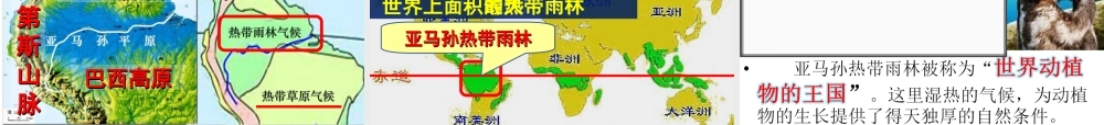八年级地理下册 第七章 第四节 巴西课件 中图版-中图版初中八年级全册地理课件