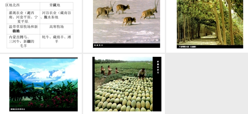 八年级地理下册 第九章 青藏地区 第一节 自然特征与农业课件（1） （新版）新人教版