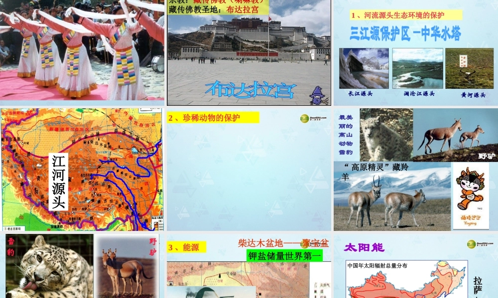 八年级地理下册 第九章 青藏地区第一节自然特征与农业课件 新人教版