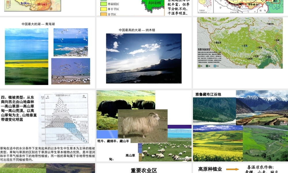 八年级地理下册 第九章 青藏地区课件 （新版）新人教版-（新版）新人教版初中八年级下册地理课件